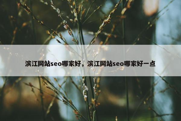 滨江网站seo哪家好，滨江网站seo哪家好一点
