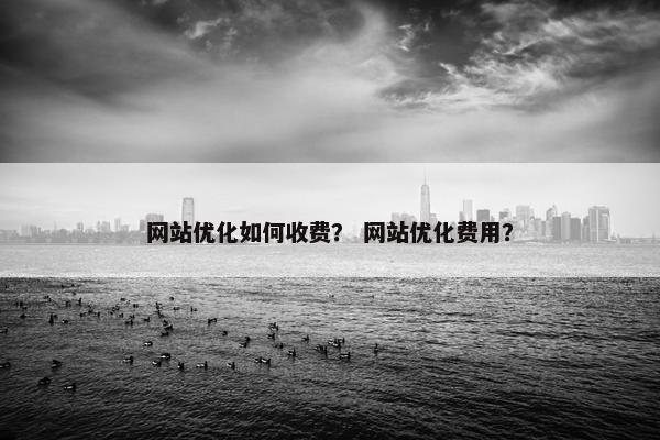 网站优化如何收费？ 网站优化费用？