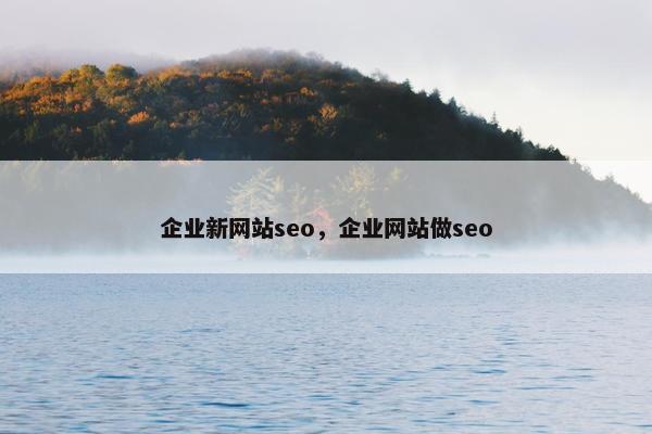 企业新网站seo，企业网站做seo