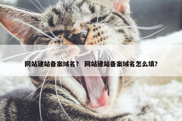 网站建站备案域名？ 网站建站备案域名怎么填？