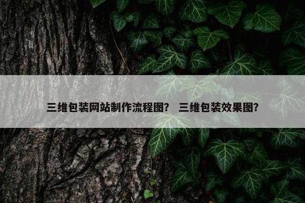 三维包装网站制作流程图？ 三维包装效果图？