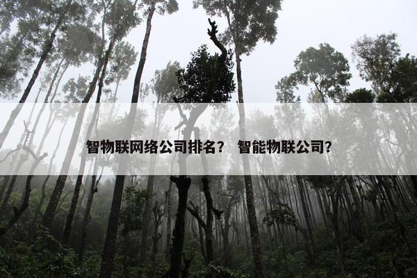 智物联网络公司排名？ 智能物联公司？