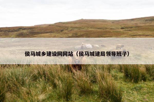 侯马城乡建设网网站（侯马城建局领导班子）