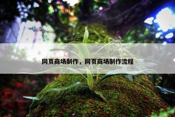 网页商场制作，网页商场制作流程