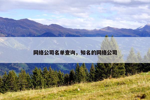 网络公司名单查询，知名的网络公司