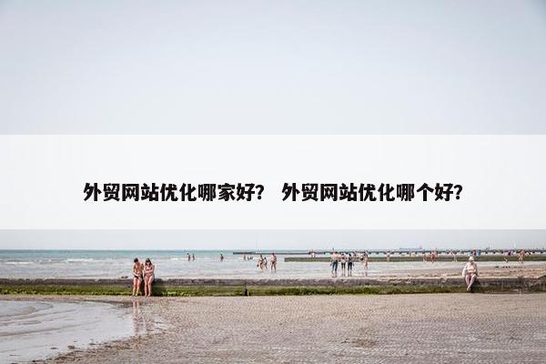 外贸网站优化哪家好？ 外贸网站优化哪个好？