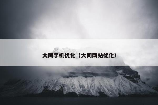 大同手机优化（大同网站优化）