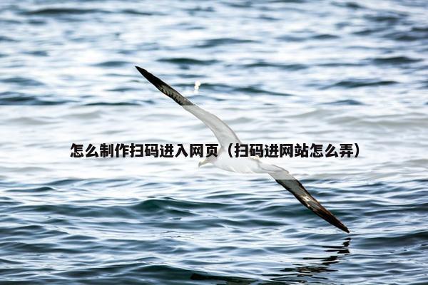 怎么制作扫码进入网页（扫码进网站怎么弄）