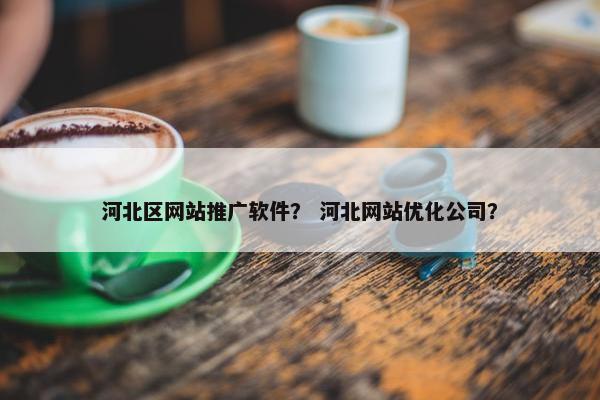 河北区网站推广软件？ 河北网站优化公司？