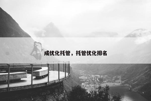 成优化托管，托管优化排名