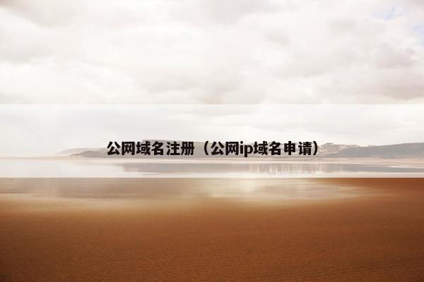 公网域名注册（公网ip域名申请）