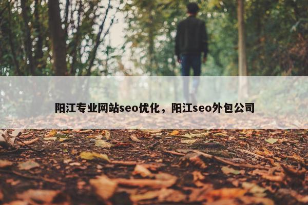 阳江专业网站seo优化，阳江seo外包公司