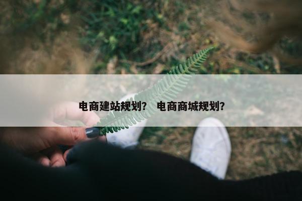 电商建站规划？ 电商商城规划？