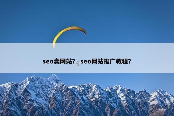 seo卖网站？ seo网站推广教程？