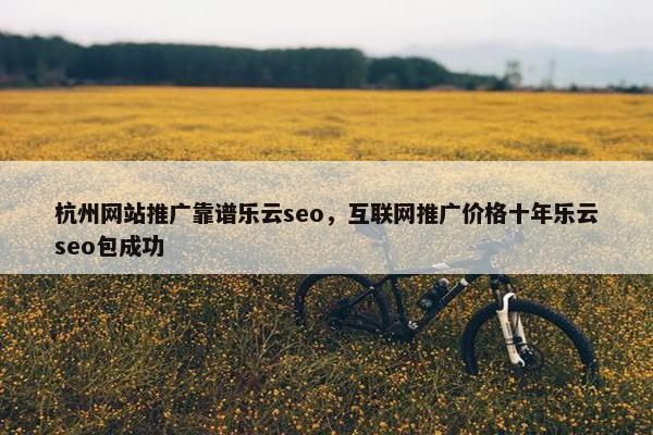杭州网站推广靠谱乐云seo，互联网推广价格十年乐云seo包成功