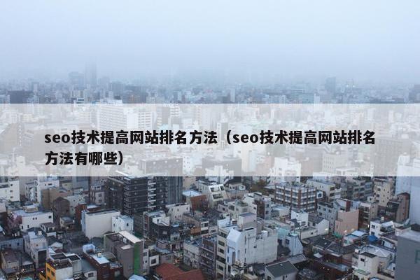 seo技术提高网站排名方法（seo技术提高网站排名方法有哪些）
