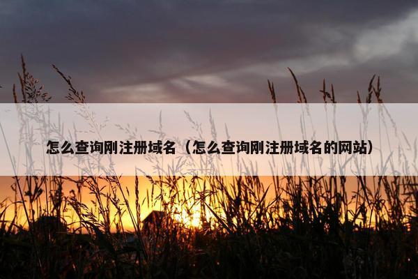怎么查询刚注册域名（怎么查询刚注册域名的网站）