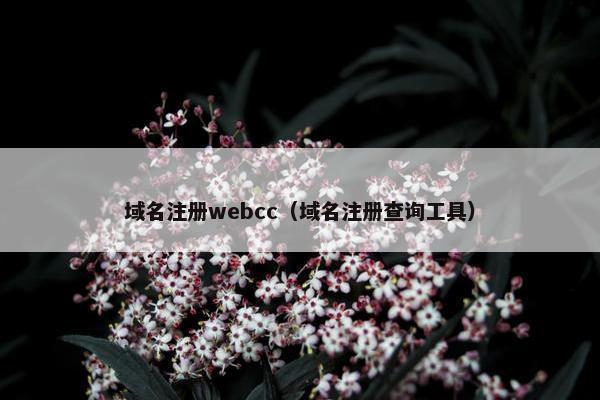 域名注册webcc（域名注册查询工具）