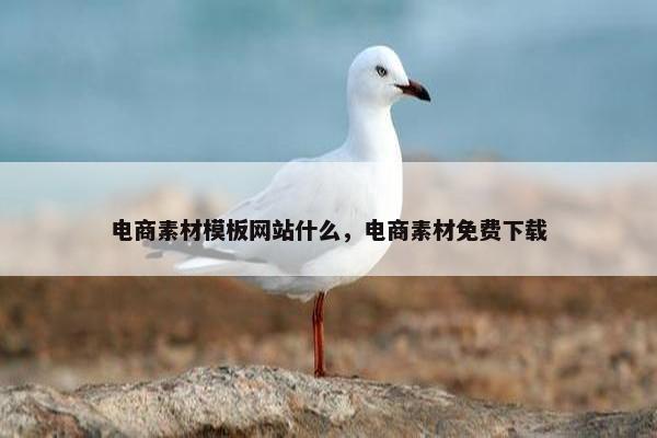 电商素材模板网站什么，电商素材免费下载
