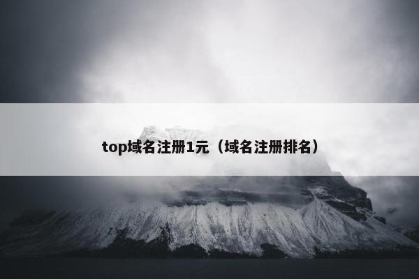 top域名注册1元（域名注册排名）