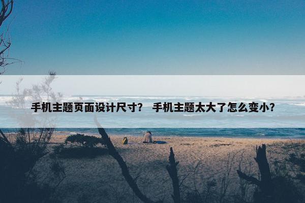 手机主题页面设计尺寸？ 手机主题太大了怎么变小？