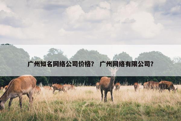 广州知名网络公司价格？ 广州网络有限公司？