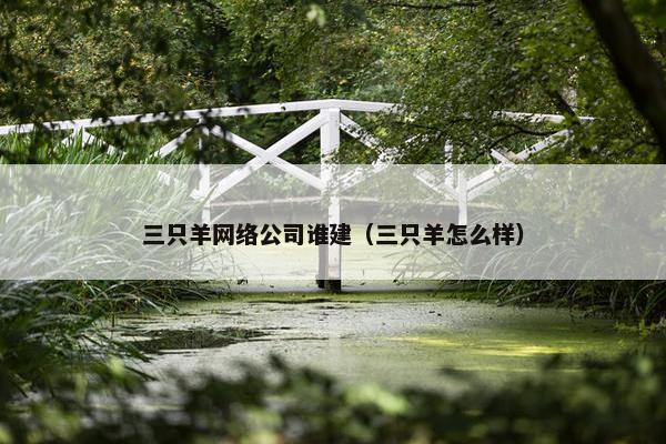 三只羊网络公司谁建（三只羊怎么样）