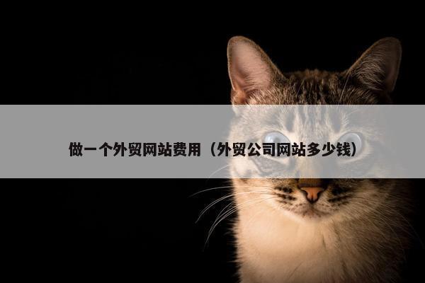 做一个外贸网站费用（外贸公司网站多少钱）