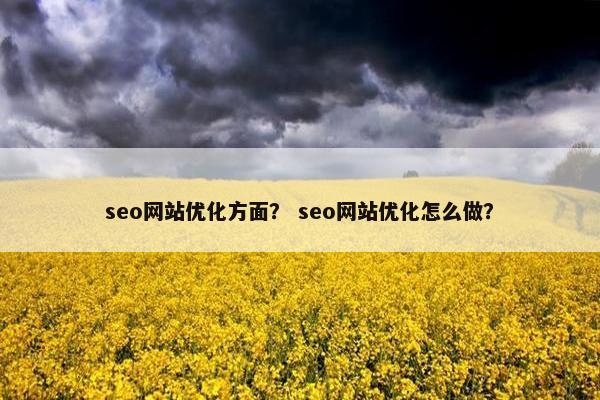 seo网站优化方面？ seo网站优化怎么做？