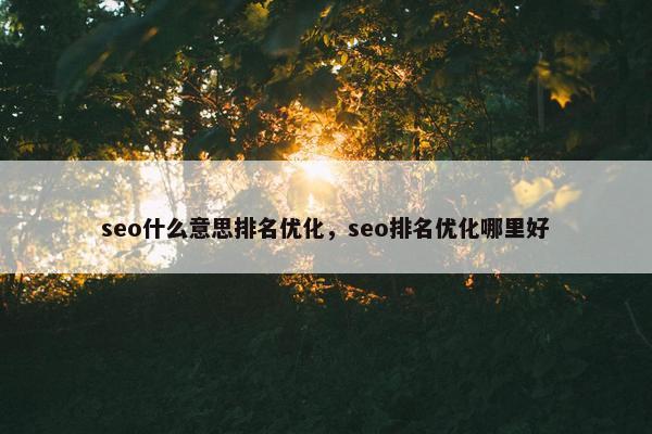 seo什么意思排名优化，seo排名优化哪里好