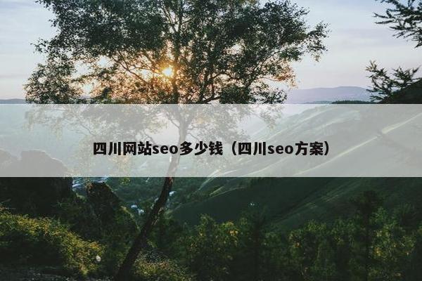 四川网站seo多少钱（四川seo方案）
