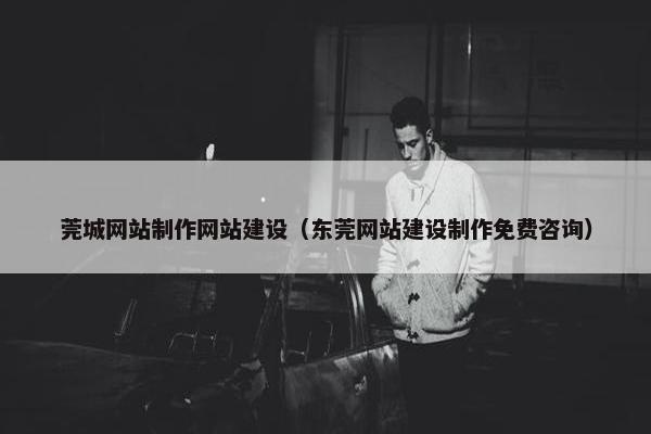 莞城网站制作网站建设（东莞网站建设制作免费咨询）