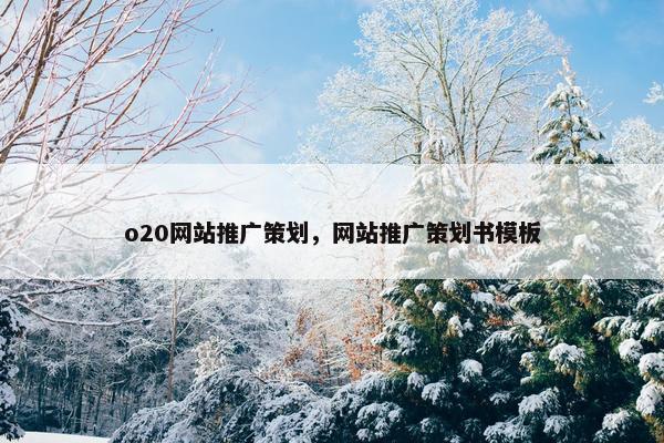 o20网站推广策划，网站推广策划书模板