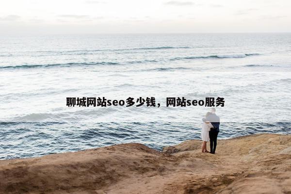 聊城网站seo多少钱，网站seo服务