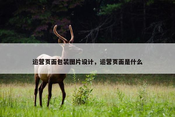 运营页面包装图片设计，运营页面是什么