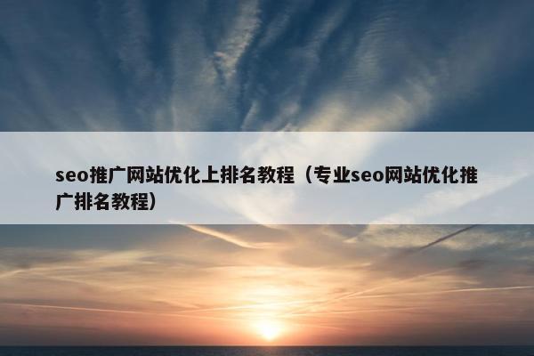 seo推广网站优化上排名教程（专业seo网站优化推广排名教程）