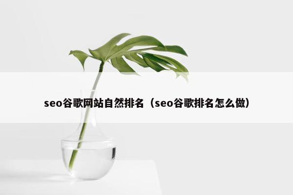seo谷歌网站自然排名（seo谷歌排名怎么做）