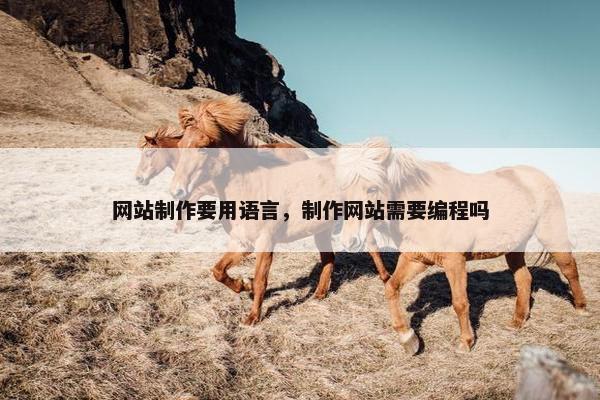 网站制作要用语言，制作网站需要编程吗