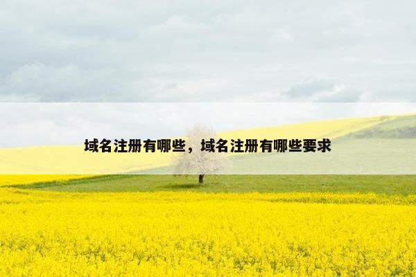 域名注册有哪些，域名注册有哪些要求