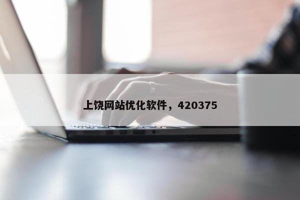 上饶网站优化软件，420375