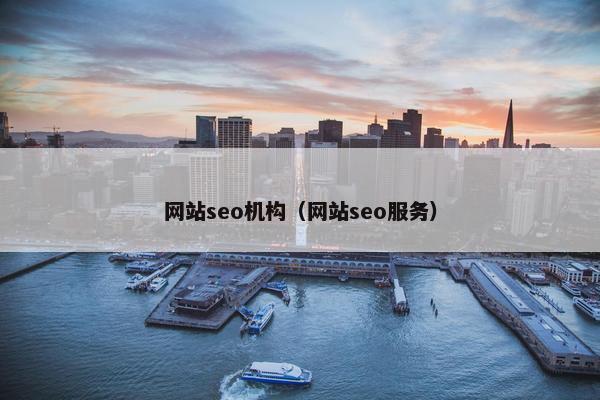 网站seo机构（网站seo服务）
