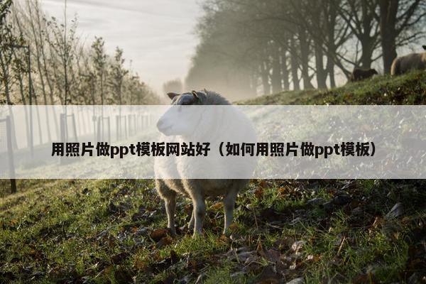 用照片做ppt模板网站好（如何用照片做ppt模板）