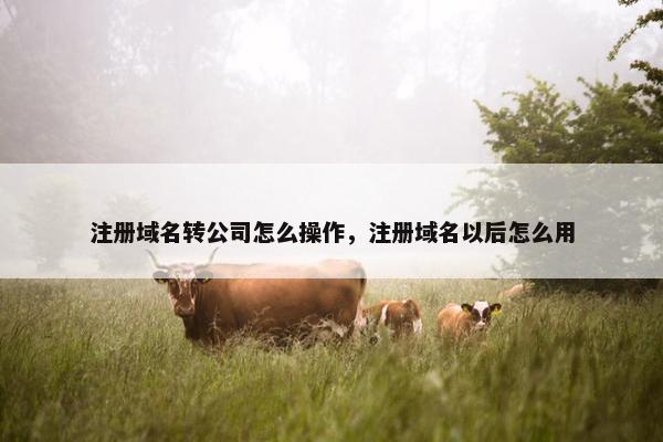 注册域名转公司怎么操作，注册域名以后怎么用