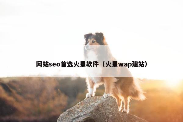 网站seo首选火星软件（火星wap建站）