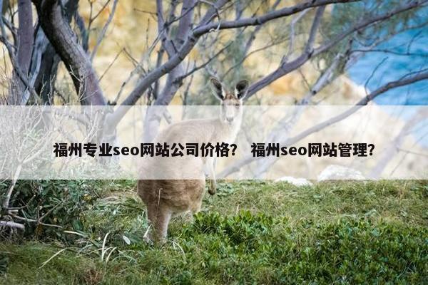 福州专业seo网站公司价格？ 福州seo网站管理？