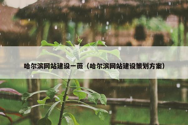 哈尔滨网站建设一薇（哈尔滨网站建设策划方案）