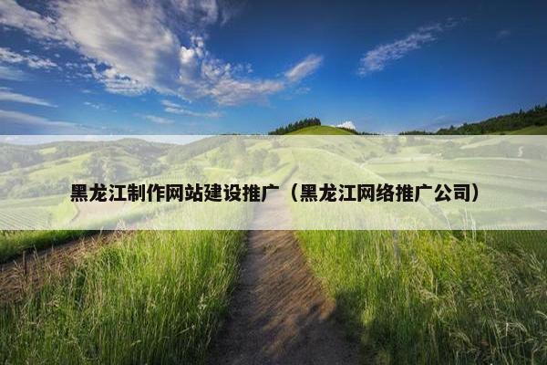 黑龙江制作网站建设推广（黑龙江网络推广公司）