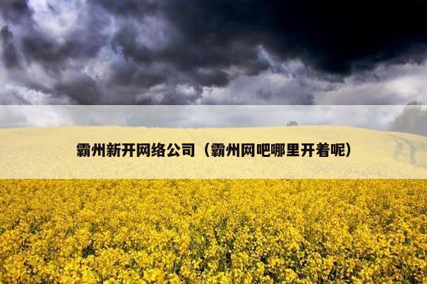 霸州新开网络公司（霸州网吧哪里开着呢）