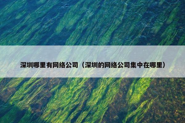 深圳哪里有网络公司（深圳的网络公司集中在哪里）