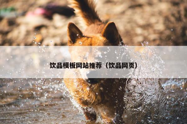 饮品模板网站推荐（饮品网页）